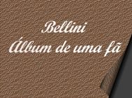 Clique para abrir o &aacute;lbum